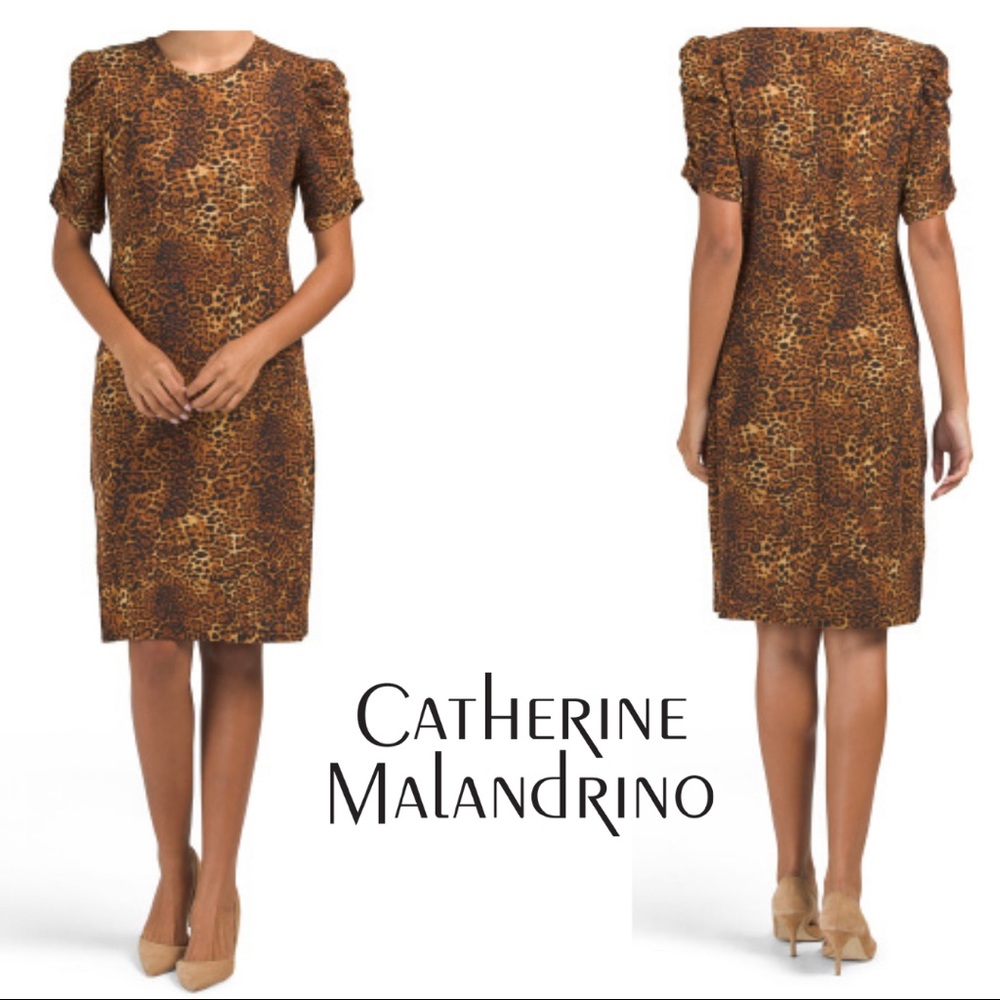 Animal Print Dress